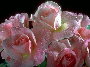 natural beauty, hgkj, amazing, wonder, gbjk HD wallpaper