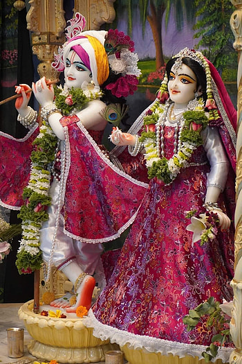 Jai shri krishna, magenta, art HD phone wallpaper