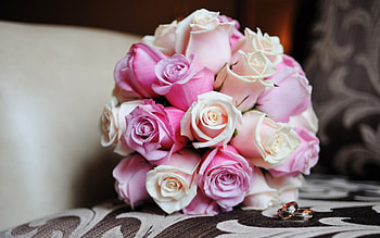 ✿Pink Pastel✿, pastel, rings, bouquet, pink roses, soft, beautiful, wedding bride, rose-colored, nature, lovely HD wallpaper