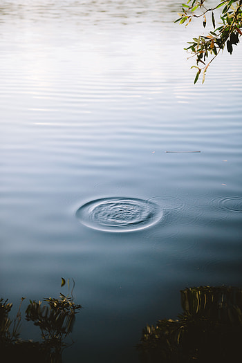 Nature, Water, Waves, Lake, Circles, Surface HD phone wallpaper