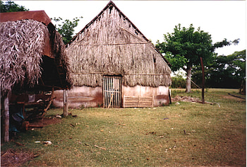 Rancho en Campo de Cuba, bohio, campo, campesino, rancho HD wallpaper