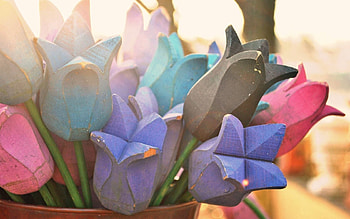 Flowers, Sun, Tulips, Miscellanea, Miscellaneous, Wooden HD wallpaper