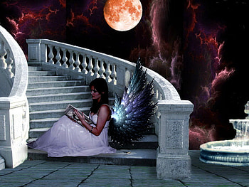 Night reader, night, girl, lonely, woman, summer, lady, reader, moon, loneliness HD wallpaper