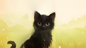 Cute animated black cat - HD wallpaper