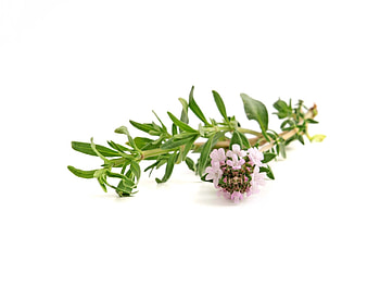 Augen professional beauty, Winter savory cosmetics, Thun HD wallpaper