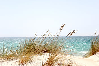 Tranquil beach view in Tarifa, Spain, featuring sand dunes and the vibrant ocean under a clear sky. HD wallpaper