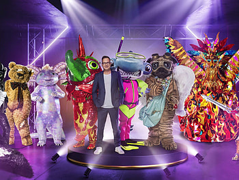 The Masked Singer, ProSieben live show, Florian Silbereisen, Fans' frustration HD wallpaper