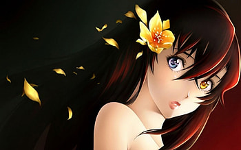 rozen maiden, girl, anime, flower HD wallpaper