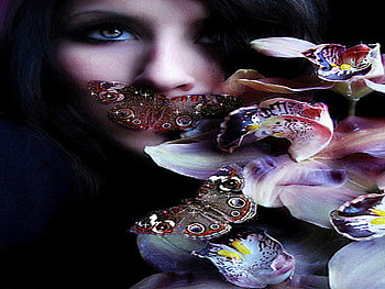sound of silence, orchid, butterfly, silence, beauty HD wallpaper