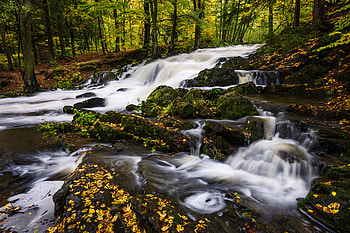 Nature, Water, Rivers, Trees, Stones, Autumn HD wallpaper