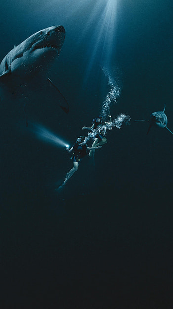 47 Meters Down (2022) movie HD phone wallpaper