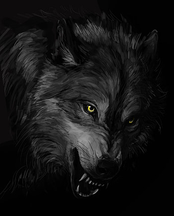 Wolf shadow, Mysterious silhouette, Moonlit night, Eerie presence HD phone wallpaper