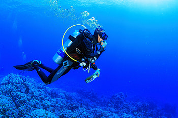 Diving , Immersive experience, Oceanic discovery, Dive into the unknown HD wallpaper