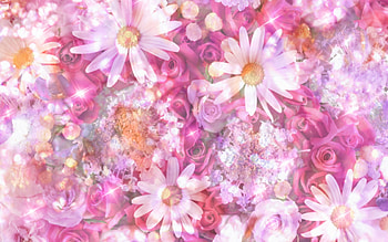 Flowers, pink, white, skin, flower, texture HD wallpaper