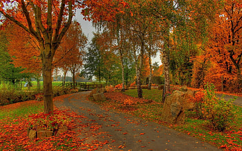 Autumn Park in Green and Orange, Green, graphy, Orange, Trees, Fall Season, Parks, Nature, Autumn HD wallpaper