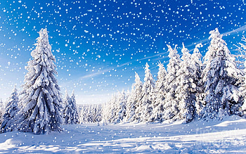 Snowfall In Amazing Winter Landscape, trees, sky, forest, snowdrops, snow HD wallpaper