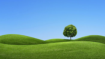 Green hill backdrop, Serene beauty, Captivating landscapes, Natural elegance HD wallpaper