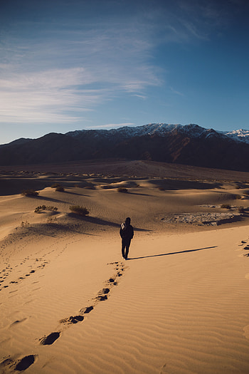 Nature, Sand, Desert, Seclusion, Privacy, Loneliness, Traces HD phone wallpaper