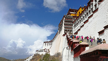 Tibet, Lhasa, Chengdu tours, Panda volunteer program HD wallpaper
