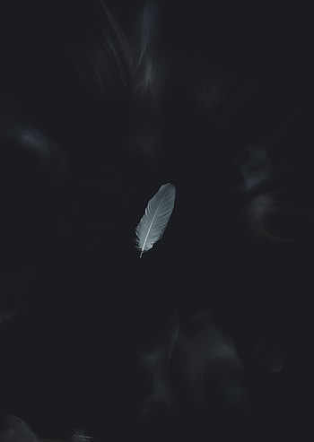 Feather, Minimalism, Bw, Chb, Pen HD phone wallpaper