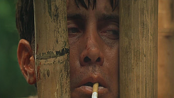 Apocalypse Now (2022) movie HD wallpaper