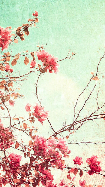Aesthetic, Pink Vintage HD phone wallpaper