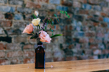 Flowers, Vase, Bottle HD wallpaper