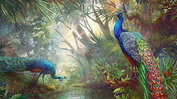 Peacocks, frumusete, paun, art, bird, pictura, peacock, water, pasari, painting HD wallpaper