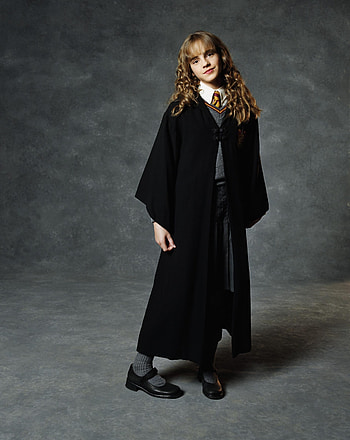 Chamber of Secrets, Harry Potter, Movies , Fanpop HD phone wallpaper