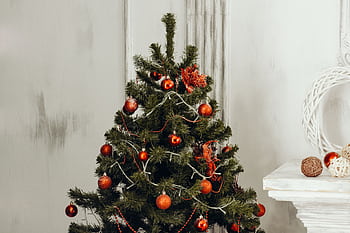 Decorated Christmas tree with red ornaments and warm lighting indoors. HD wallpaper