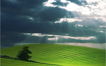 A New World, green HD wallpaper