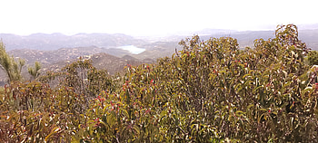 Hiking in Greater San Diego County – Landscape graphy, green, Southern California, California, landscape, hiking, graphy, nature HD wallpaper
