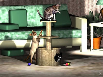 Playtime for Cats, cats, loungeroom, playpole, toys HD wallpaper