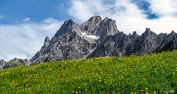 Nature, Flowers, Sky, Mountains, Rocks, Field HD wallpaper