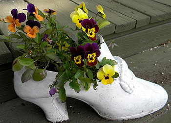 pansy bouquet, pansy, bouquet, garden, shoe, spring HD wallpaper