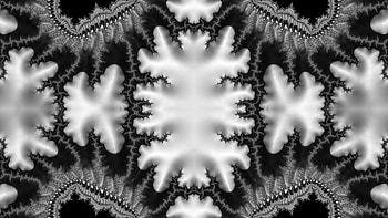 Trippy Psychedelic Fractal, trippy, psychedelic, aesthetic, white, black, Abstract, fractal, abstract black HD wallpaper