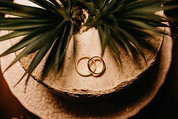 Holidays, Love, Wedding, Rings, Gold, Romance HD wallpaper