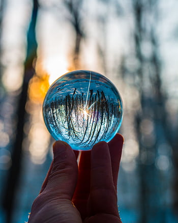A hand holds a crystal ball reflecting a forest at sunset, showcasing a magical and reflective nature scene. HD phone wallpaper