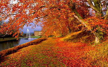-fall-computer- fall season . HD wallpaper