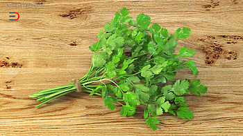 Cilantro 3D model, Digital art, Unique representation, ArtStation creation HD wallpaper