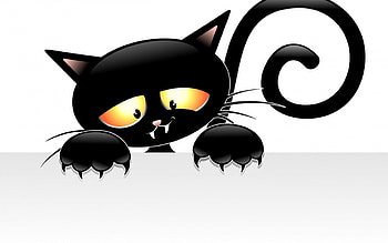 Black cat, animal, sad, halloween, yellow eyes, white, black, cat, funny HD wallpaper