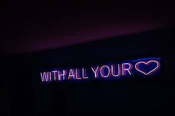 Text, Words, Wall, Neon, Inscription HD wallpaper