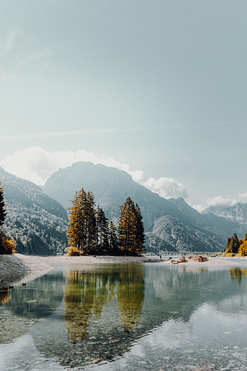 Landscape, Nature, Trees, Mountains, Lake, Shore, Bank, Fog HD phone wallpaper