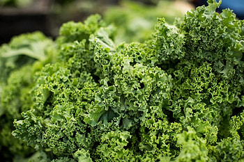 Greens, Food, Leafy Vegetables, Fresh HD wallpaper
