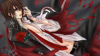 Kuran Kaname, kaname, kuran, vampire knight, manga HD wallpaper