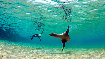Galapagos Islands, Stunning , Ecuador travel, quality HD wallpaper