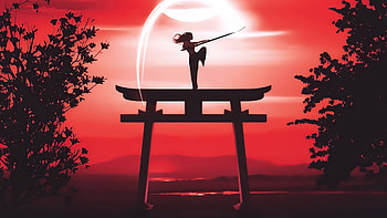 Martial Arts, warrior, artist, artwork, digital-art, silhouette HD wallpaper