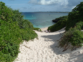Wikimedia commons, content, , Platform HD wallpaper
