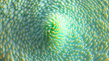 Light-Green Flux: 3D Digital Abstract Texture ( Quad ), texture, Digital Art, Abstract, 3D rendering HD wallpaper