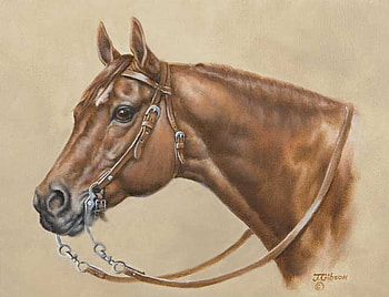 By Judy Gibson, animal, horse, painting, art, judy gibson HD wallpaper